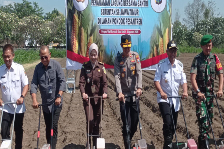 Dukung Ketahanan Pangan Polres Kediri Kota Bersama Ponpes Wali Barokah Penanaman Jagung di Lahan Semampir